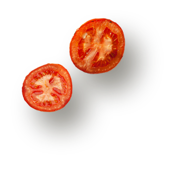 tomato-1 Tomato 1