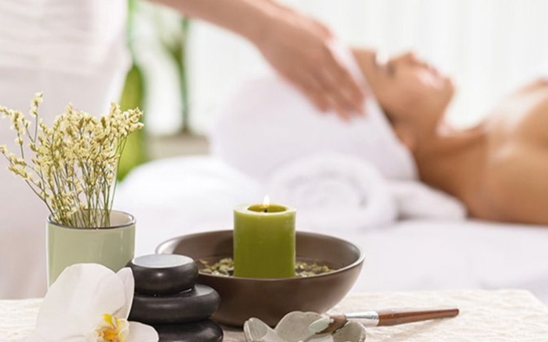 SPA WordPress Theme 91