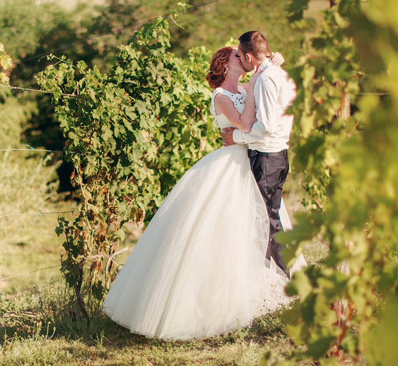 Winery WordPress Theme 86