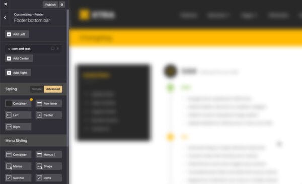 Footer bottom bar