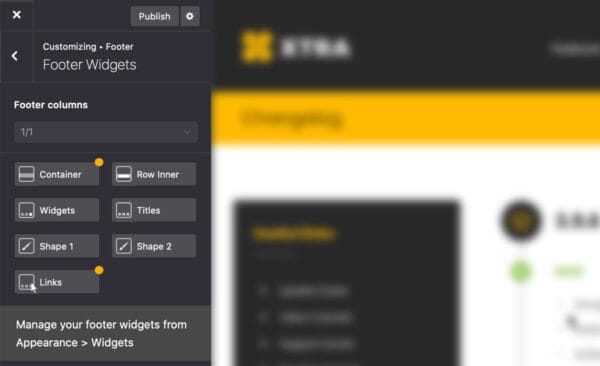 Footer widgets